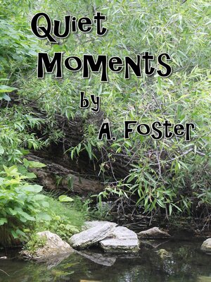 cover image of Quiet Moments